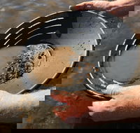 Tuena Panning for Gold - Accommodation Main Beach
