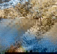 Wandandian Creek picnic area - Accommodation Main Beach