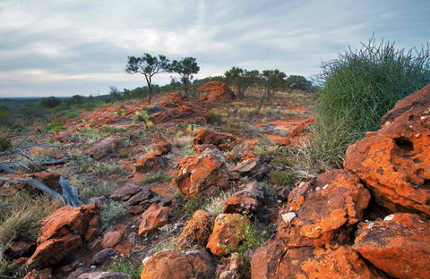 Western Ridge Walk - Accommodation Main Beach 0