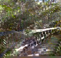 Awaba Bay Foreshore Walk - Accommodation Main Beach