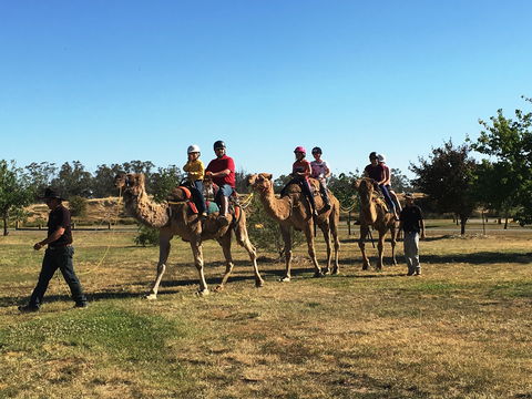 Billabong Ranch Adventure Park - Accommodation Main Beach 1