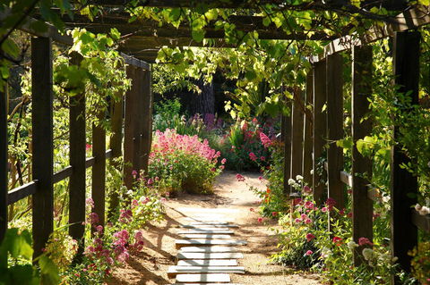 Buda Historic Home & Garden - Accommodation Main Beach 2
