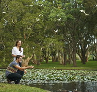 Centennial Parklands - Accommodation Main Beach