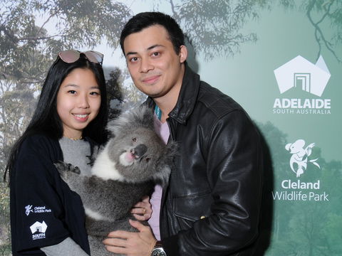 Cleland Wildlife Park - Koala Hold - Accommodation Main Beach 0