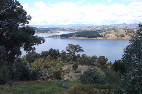 Delatite Arm Reserve - Accommodation Main Beach 0