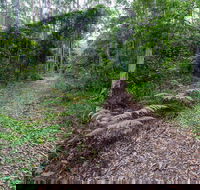 Double Wharf Trail