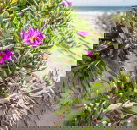 Fort Bribie - Accommodation Main Beach