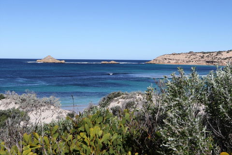 Fowlers Bay Conservation Park - Accommodation Main Beach 0
