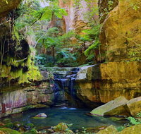 Glimpse of the Outback 5 Day Tour - Roma and Surrounds - Accommodation Main Beach