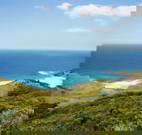 Governor Game Lookout - Accommodation Main Beach