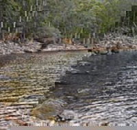 Lake Rowallan - Accommodation Main Beach