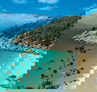 Magnetic Island National Park - Accommodation Main Beach