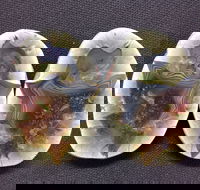 Mount Hay Gemstone Tourist Park - Accommodation Main Beach