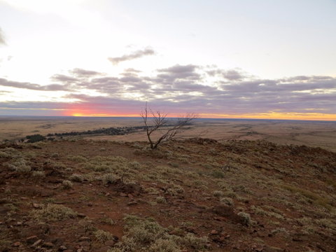 Mundi Mundi Plains - Accommodation Main Beach 0