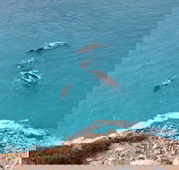 Nullarbor National Park - Accommodation Main Beach