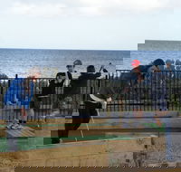 Port Vincent Putt Putt - Accommodation Main Beach