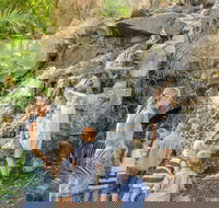 Queens Park Waterfall - Accommodation Main Beach
