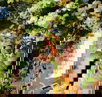 Robe Flower School - Accommodation Main Beach