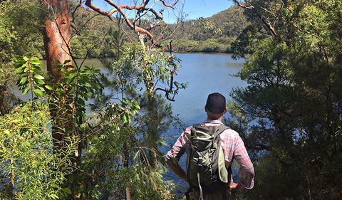 Sphinx Memorial To Bobbin Head Loop Track - Accommodation Main Beach 0