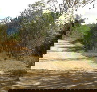 The Bloomfield Track - Accommodation Main Beach