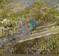 Walpole Wilderness Discovery Centre - Accommodation Main Beach