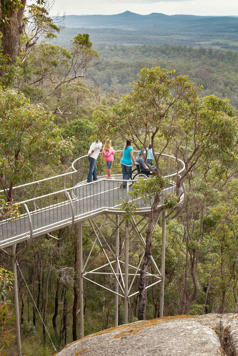 Walpole Wilderness Discovery Centre - Accommodation Main Beach 0