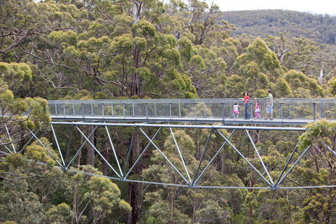 Walpole Wilderness Discovery Centre - Accommodation Main Beach 1