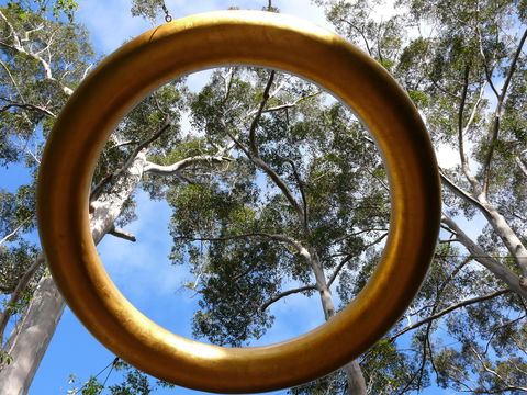 Walpole Wilderness Discovery Centre - Accommodation Main Beach 2