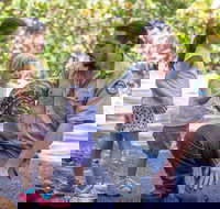 Walkabout Creek Discovery Centre - Accommodation Main Beach