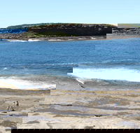 Wasp Head Picnic Area - Accommodation Main Beach