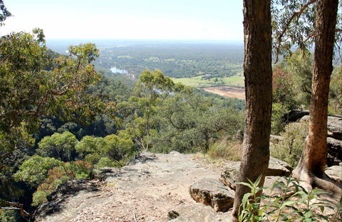 Yellow Rock Lookout - Accommodation Main Beach 0