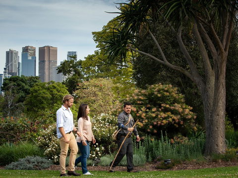Aboriginal Heritage Walk - Accommodation Main Beach 0