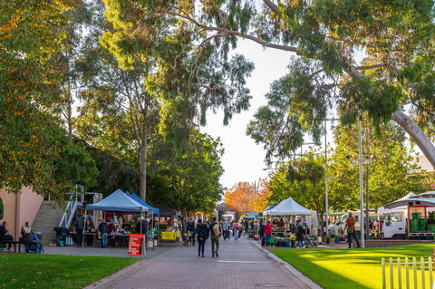Adelaide Showground Farmers' Market - Accommodation Main Beach 2