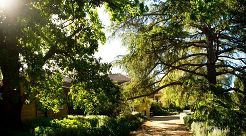 Anlaby - Accommodation Main Beach 1