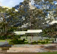 Back Creek picnic area - Accommodation Main Beach