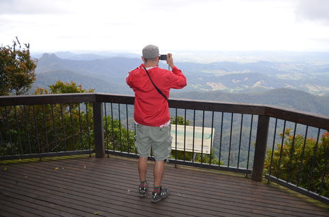 Best Of All Lookout Track, Springbrook National Park - Accommodation Main Beach 0