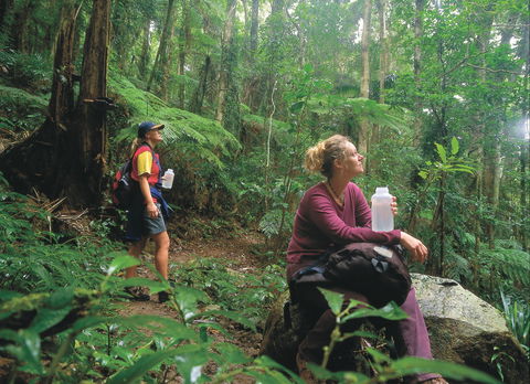 Binna Burra, Lamington National Park - Accommodation Main Beach 0