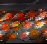 Bottle House and Mining Museum - Accommodation Main Beach