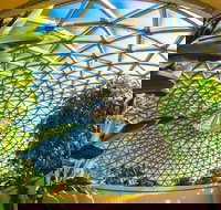 Brisbane Botanic Gardens Mount Coot-tha - Accommodation Main Beach