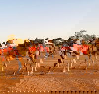 Broken Hill Camels - Accommodation Main Beach