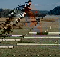 Camden Bicentennial Equestrian Park - Accommodation Main Beach