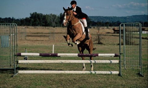 Camden Bicentennial Equestrian Park - Accommodation Main Beach 0