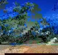 Comet - Accommodation Main Beach