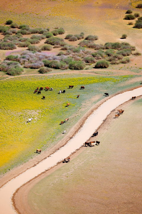 Cuttaburra Crossing - Accommodation Main Beach 1
