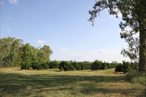 Dululu - Accommodation Main Beach 1