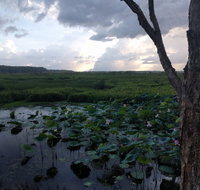 Fogg Dam Conservation Reserve - Accommodation Main Beach