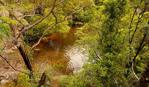 Girrakool Loop Track - Accommodation Main Beach 0