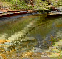 Hominy Creek Walking Track - Accommodation Main Beach
