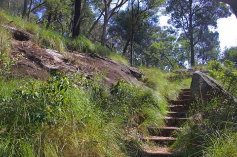 Ingleburn Reserve - Accommodation Main Beach 2