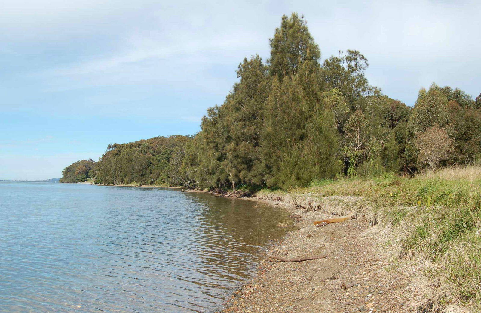 Morisset East NSW Accommodation Main Beach